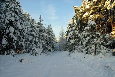 《英雄传说 黎之轨迹2》最新实机演示 中文版年内发售